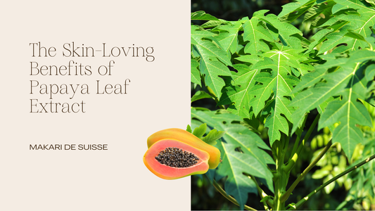The Skincare Benefits of Papaya Leaf Extract: A Natural Glow Booster