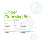 Ginger Cleansing Bar - IYKYK - Image 8