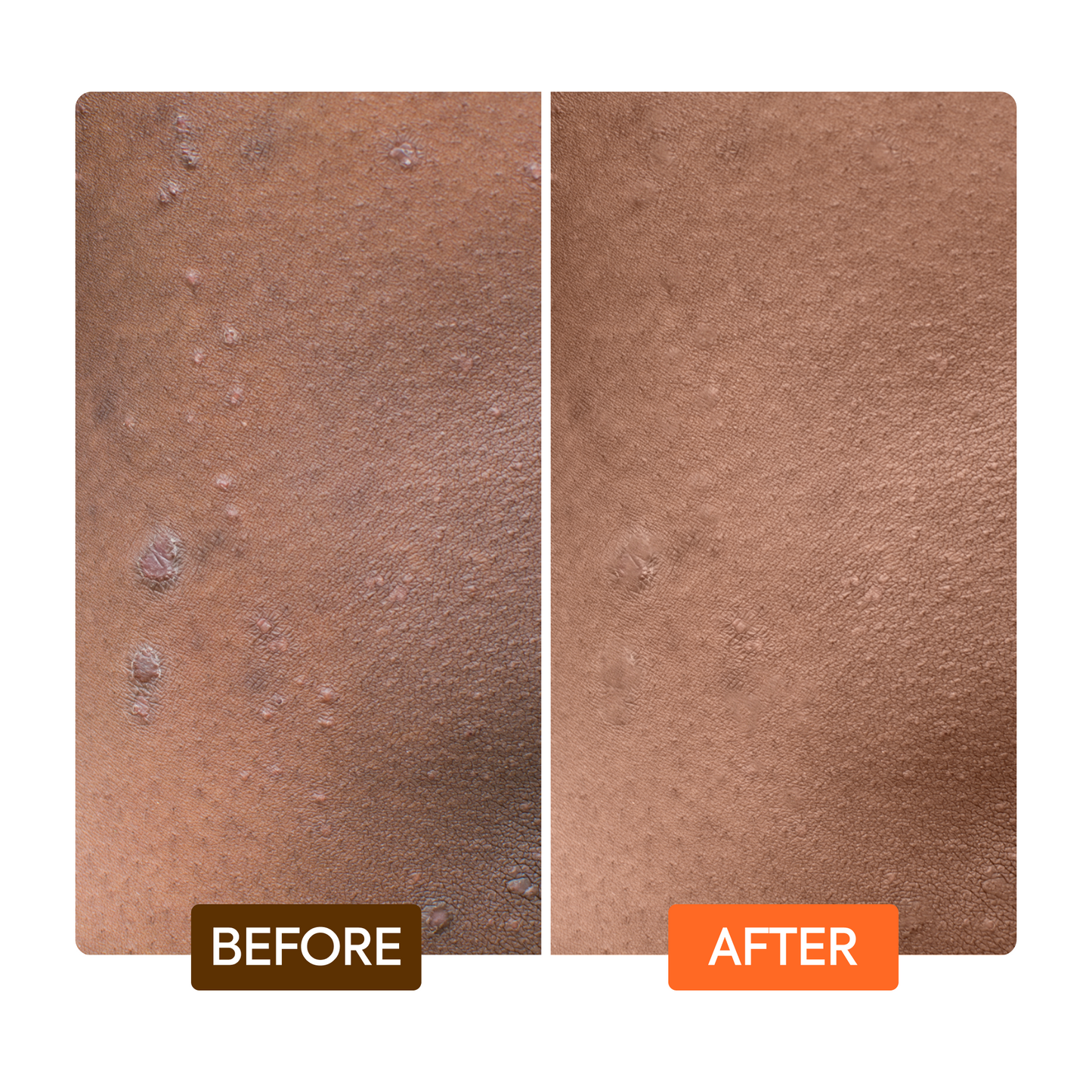 Extreme Argan & Carrot Oil Tone Boosting Body Lotion - Image 7